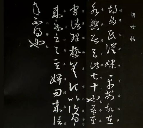 胡母帖 為 十七帖 叢帖第十八通尺牘 草書,5行,42字 問問